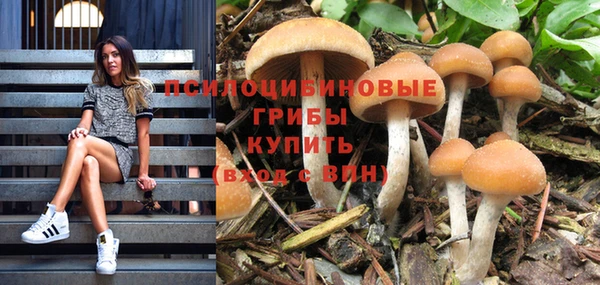 гашишное масло Арсеньев