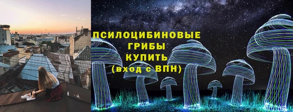 винт Армянск