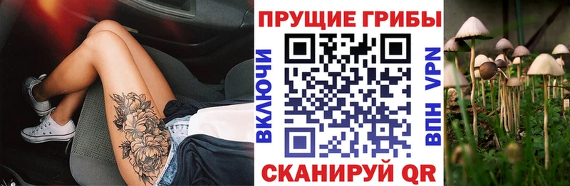 Псилоцибиновые грибы Psilocybine cubensis Купить Самара
